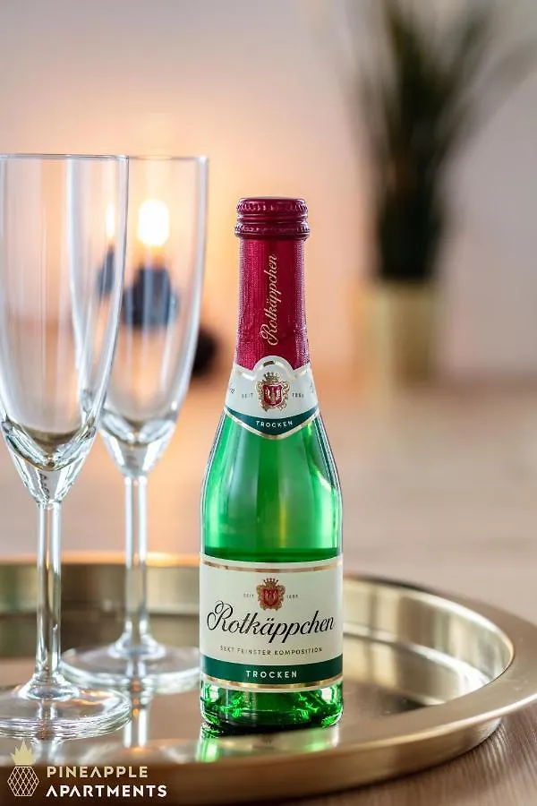 Pineapple Apartments Penthouse Am Zwinger - 162 Qm - 1X Free Parking Dresden