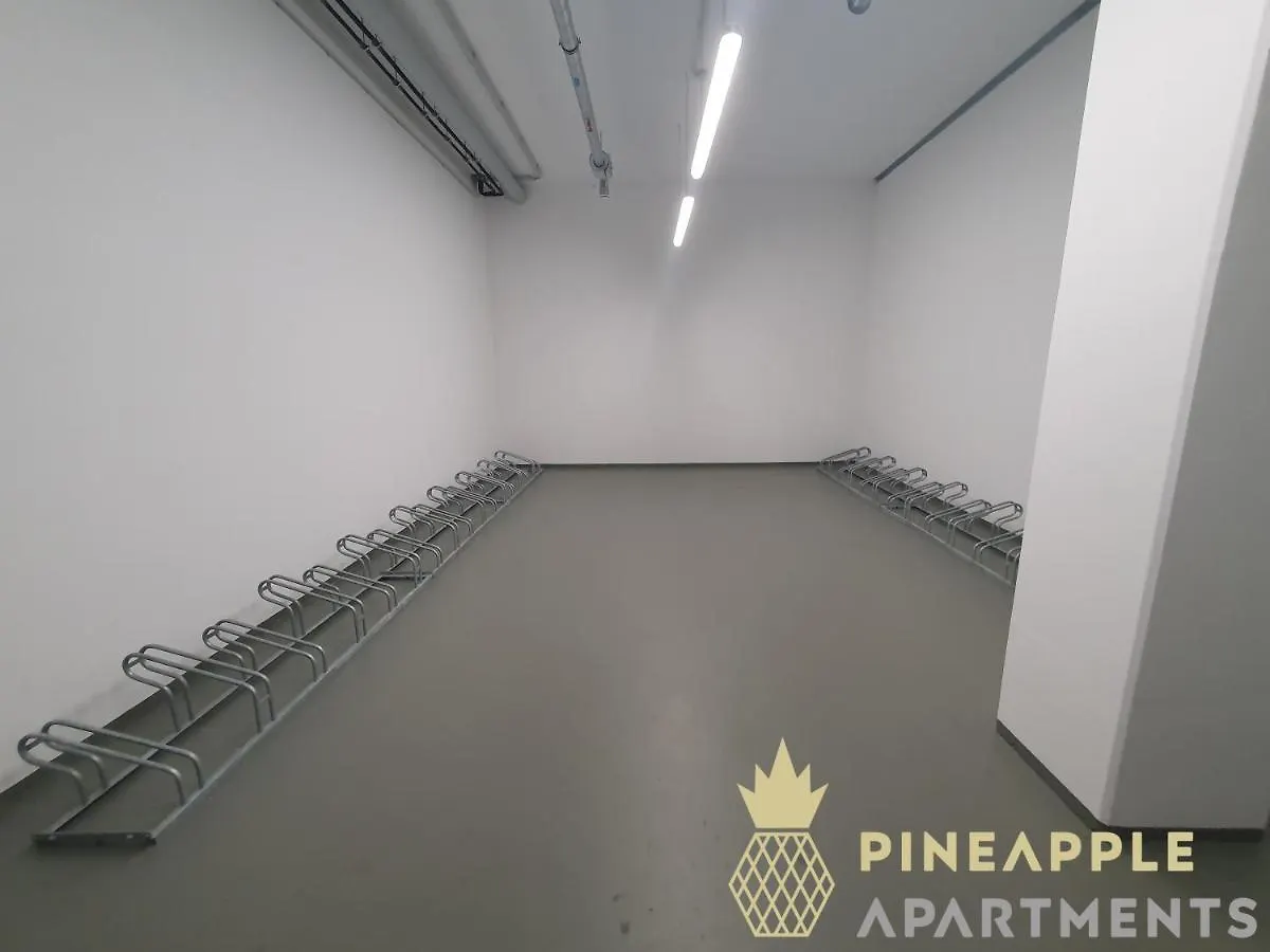Pineapple Apartments Penthouse Am Zwinger - 162 Qm - 1X Free Parking Dresden