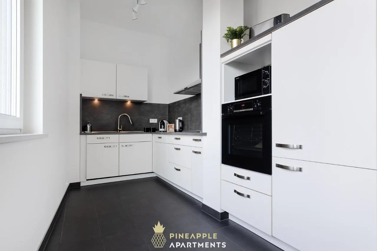 Pineapple Apartments Penthouse Am Zwinger - 162 Qm - 1X Free Parking دريسدن